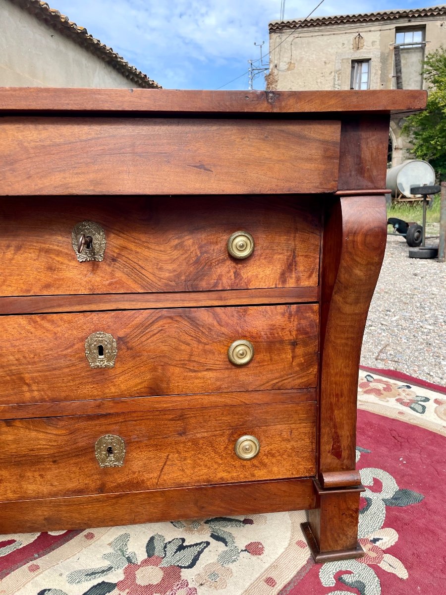 Restoration Chest Of Drawers In Walnut From The 20th Century.-photo-4