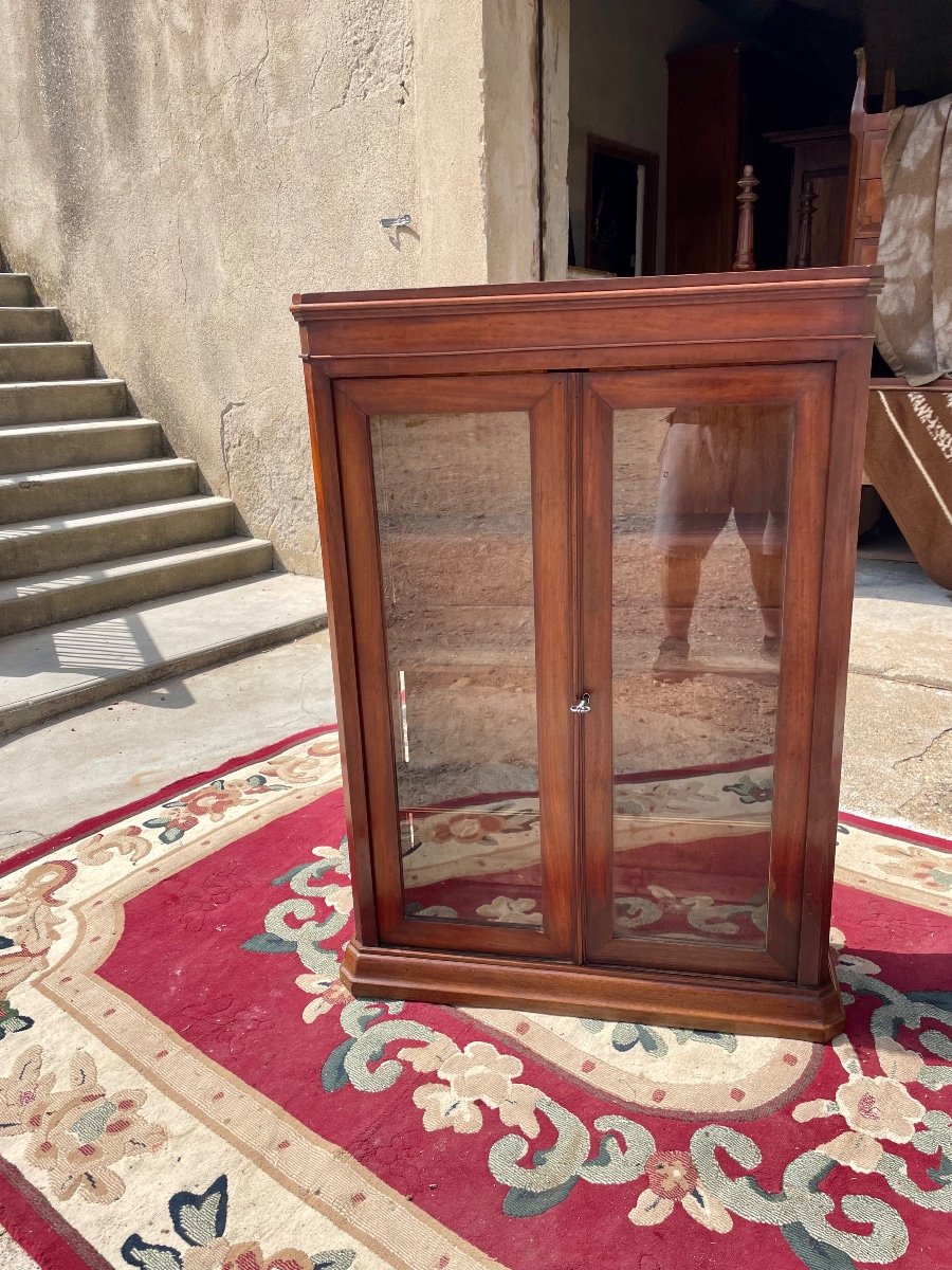 Small Library, Napoleon III, Mahogany, 19th Century -photo-4