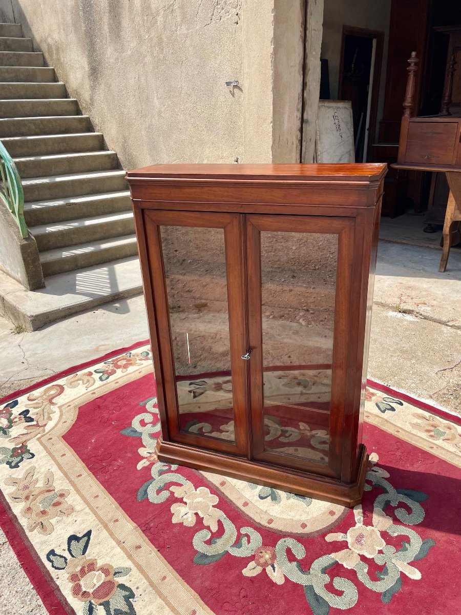 Small Library, Napoleon III, Mahogany, 19th Century -photo-1