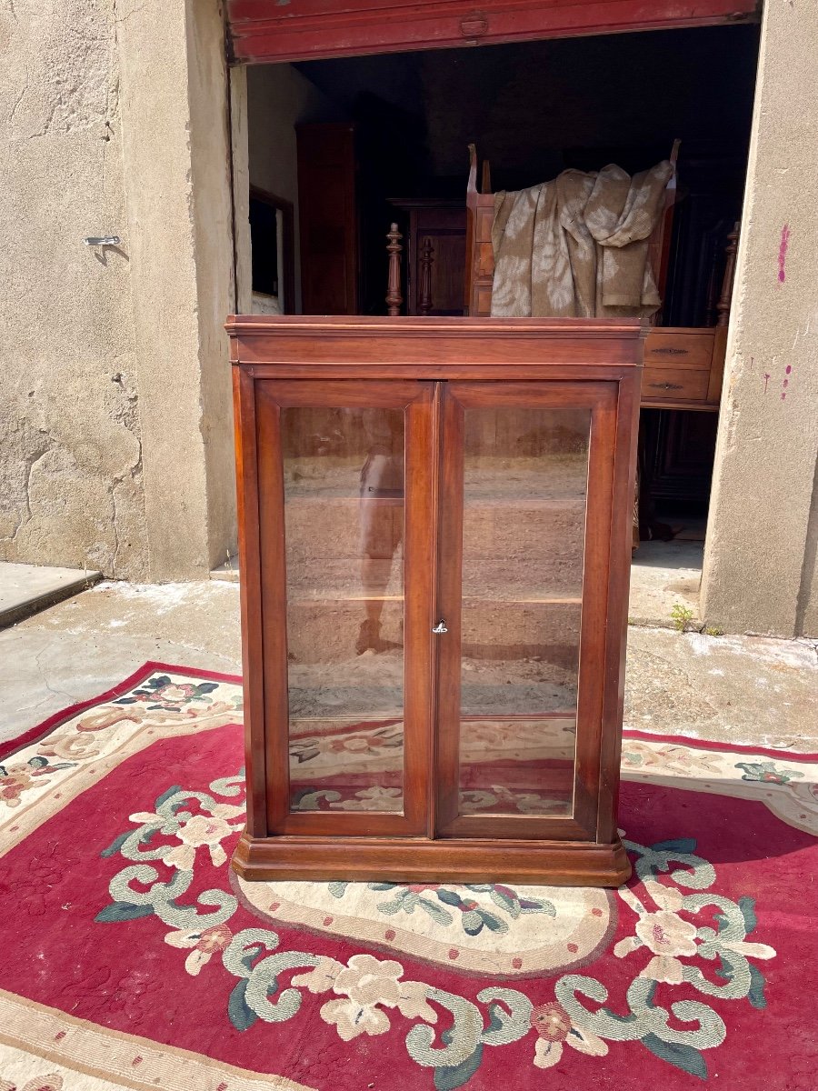 Small Library, Napoleon III, Mahogany, 19th Century 