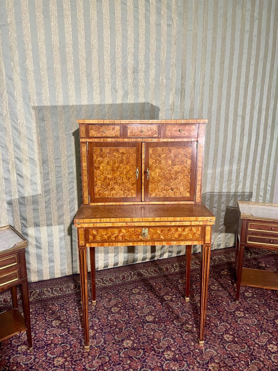 Small Louis XVI Lady's Desk Secretary, Marquetry, Wood, Pink, 19th Century 