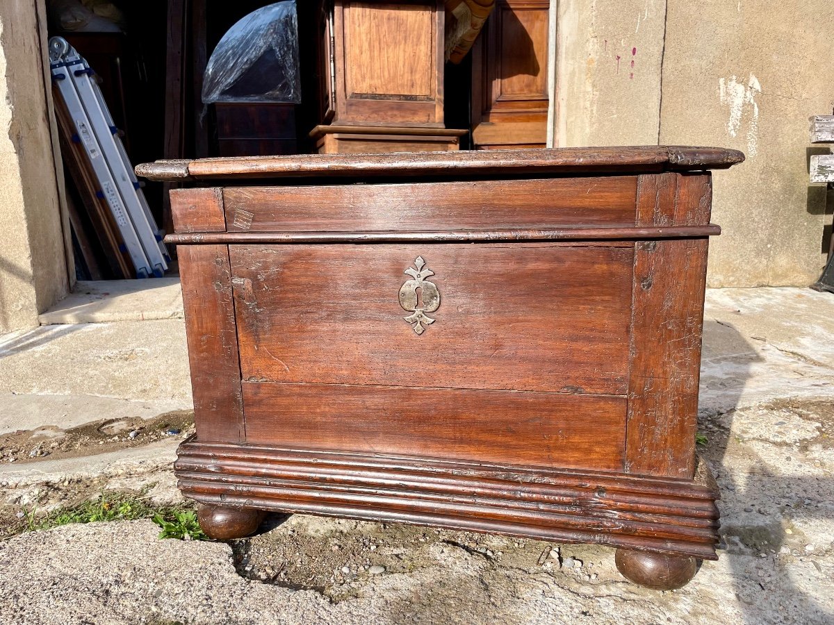 Louis XIII Chest, Walnut, 17th Century. -photo-2