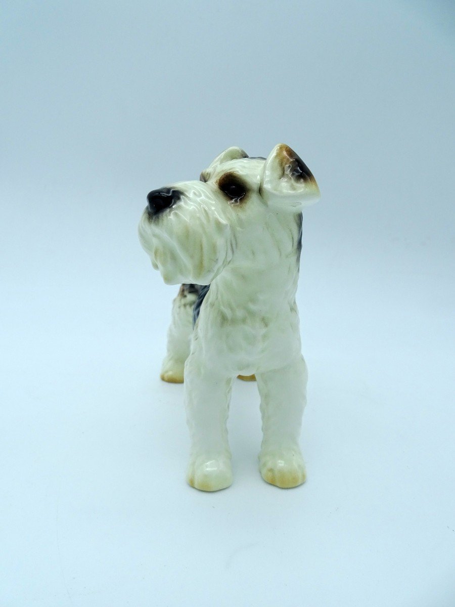 Fox Terrier Goebel Years 60/70-photo-3