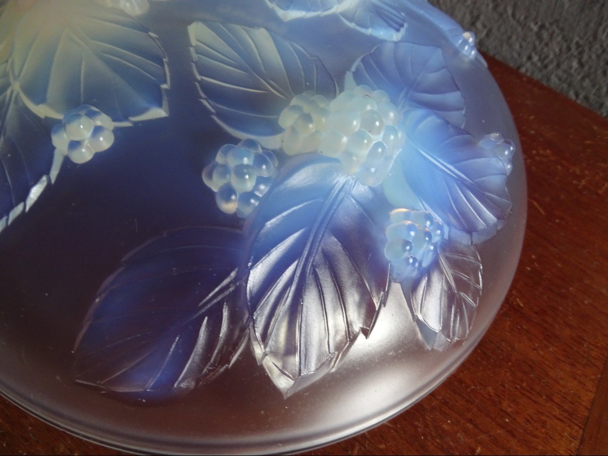 Sabino Opalescent Glass Cup 1930-photo-1