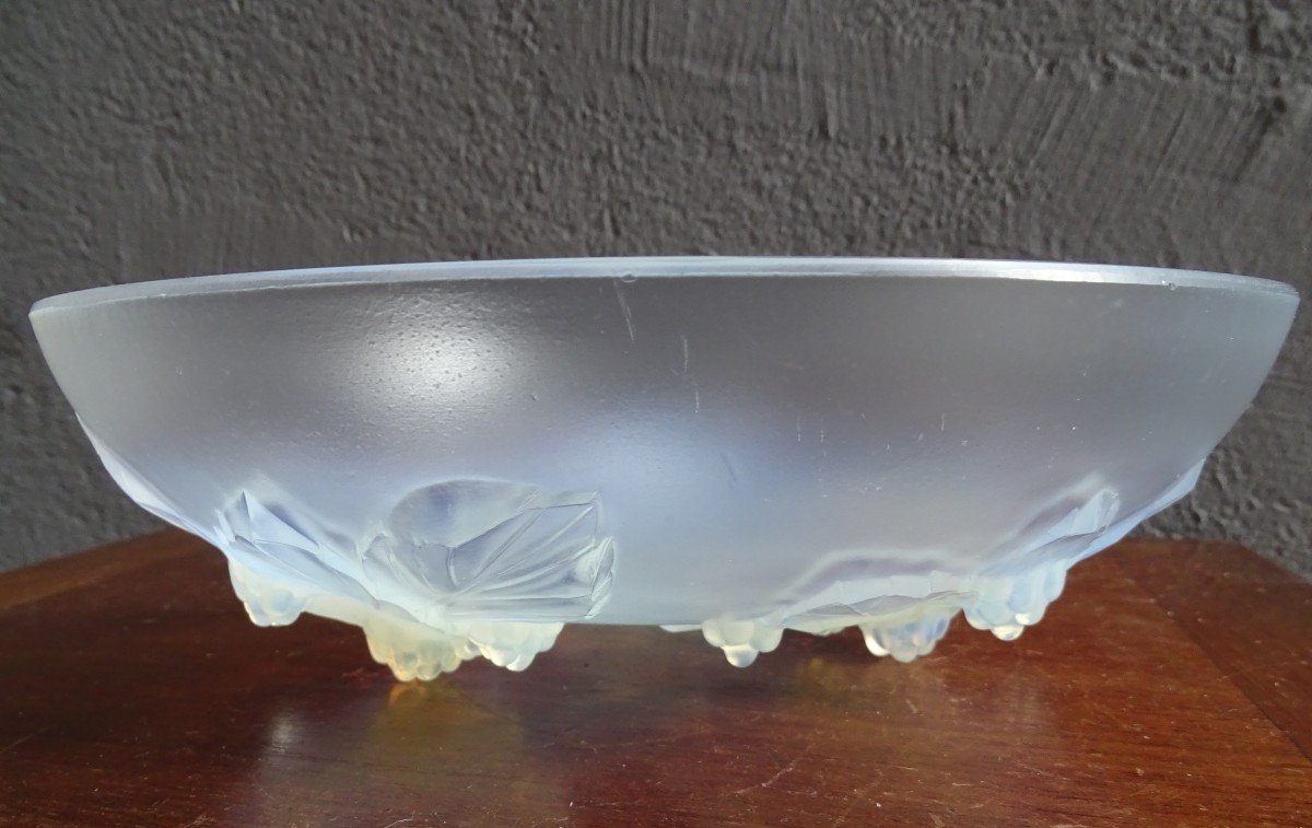 Sabino Opalescent Glass Cup 1930-photo-2