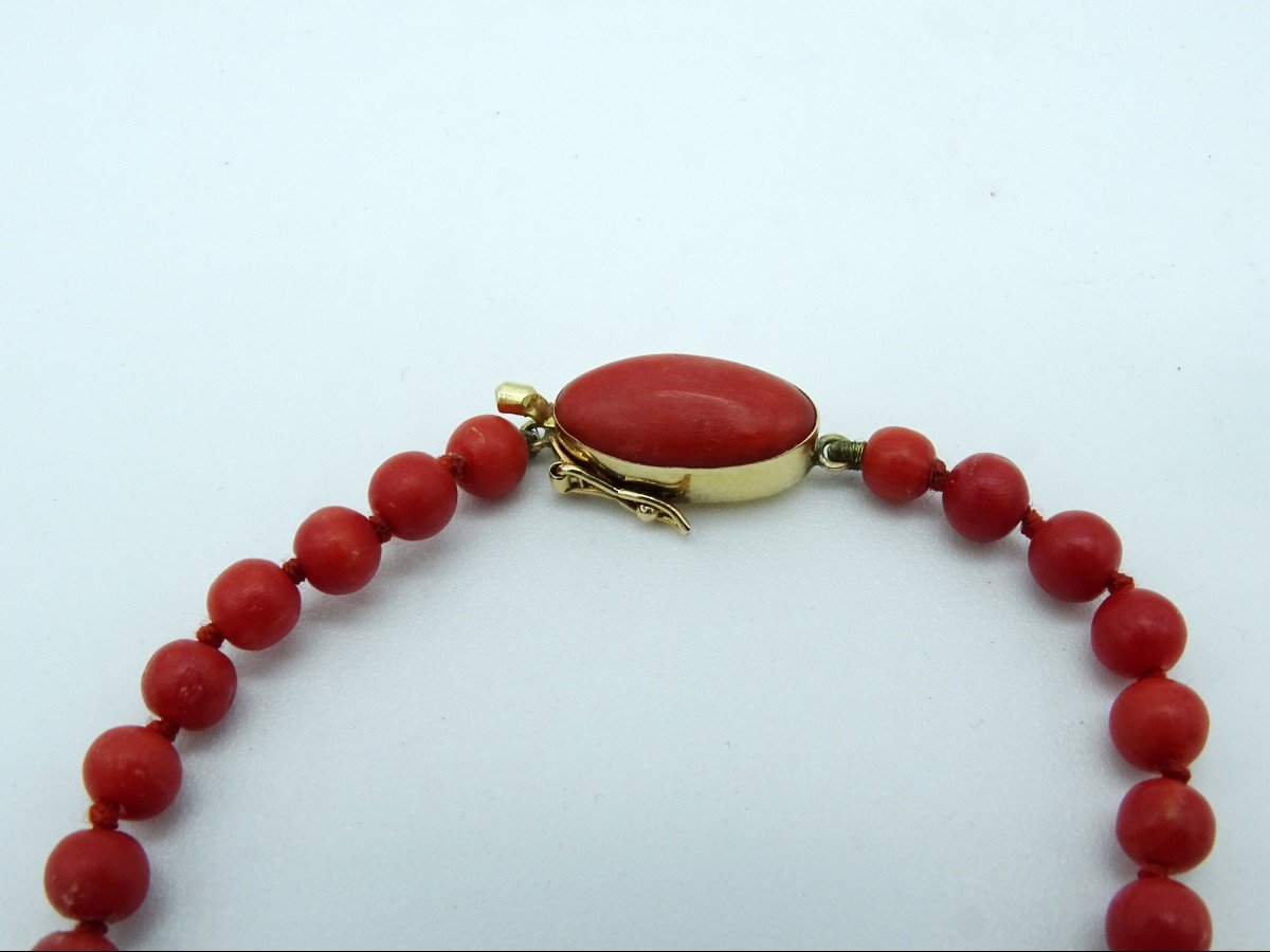 Collier En Corail Années 50/60-photo-2