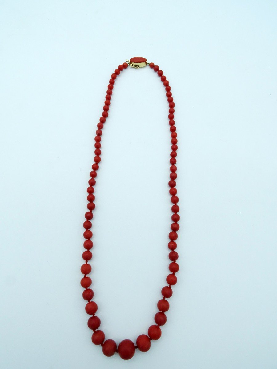 Collier En Corail Années 50/60