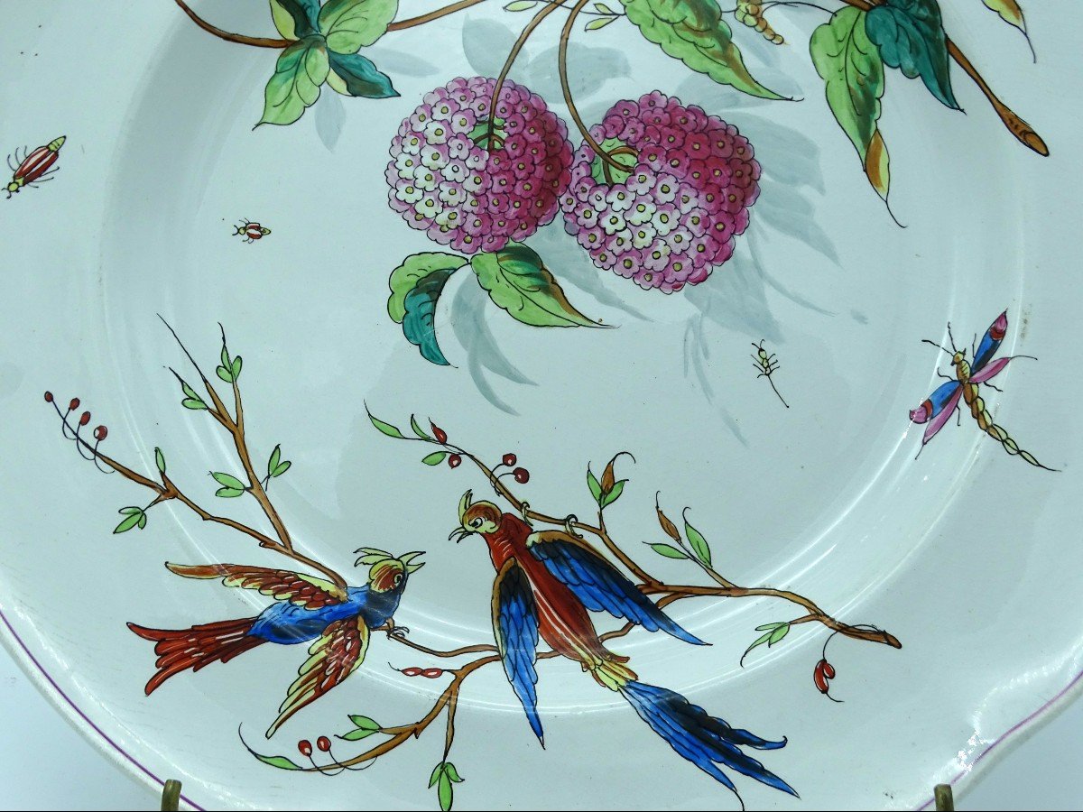 Creil-montereau Large Dish With Birds Of Paradise Late 19th-photo-2