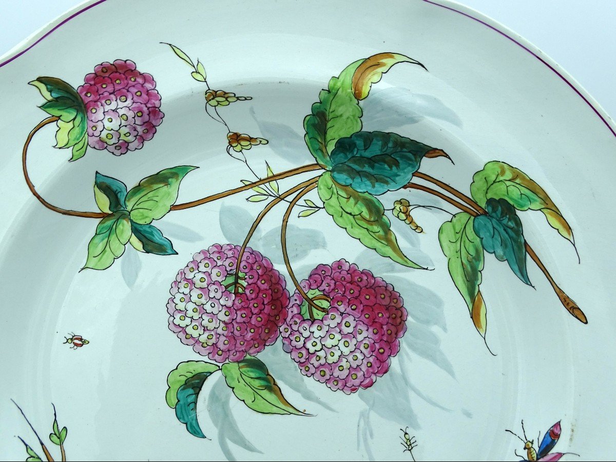 Creil-montereau Large Dish With Birds Of Paradise Late 19th-photo-4