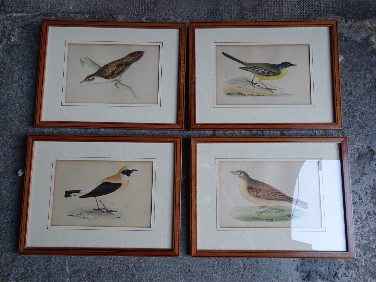 6 Small Engravings Of Birds 19th-photo-4