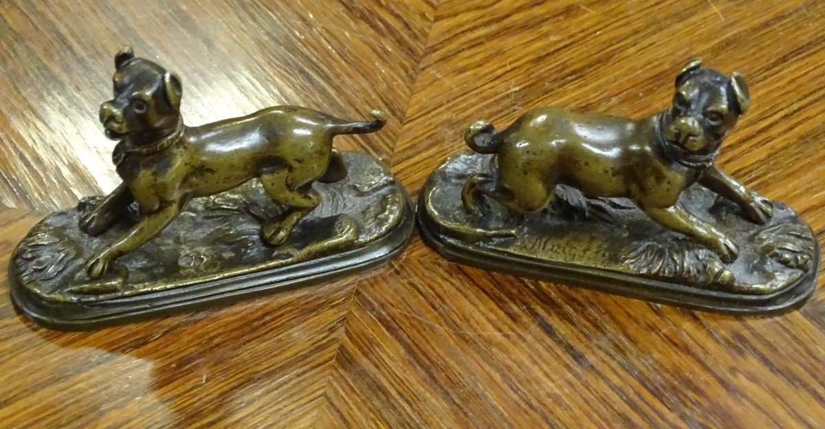 Jules Moigniez Pair Of Small Bronze Mastiffs 19th