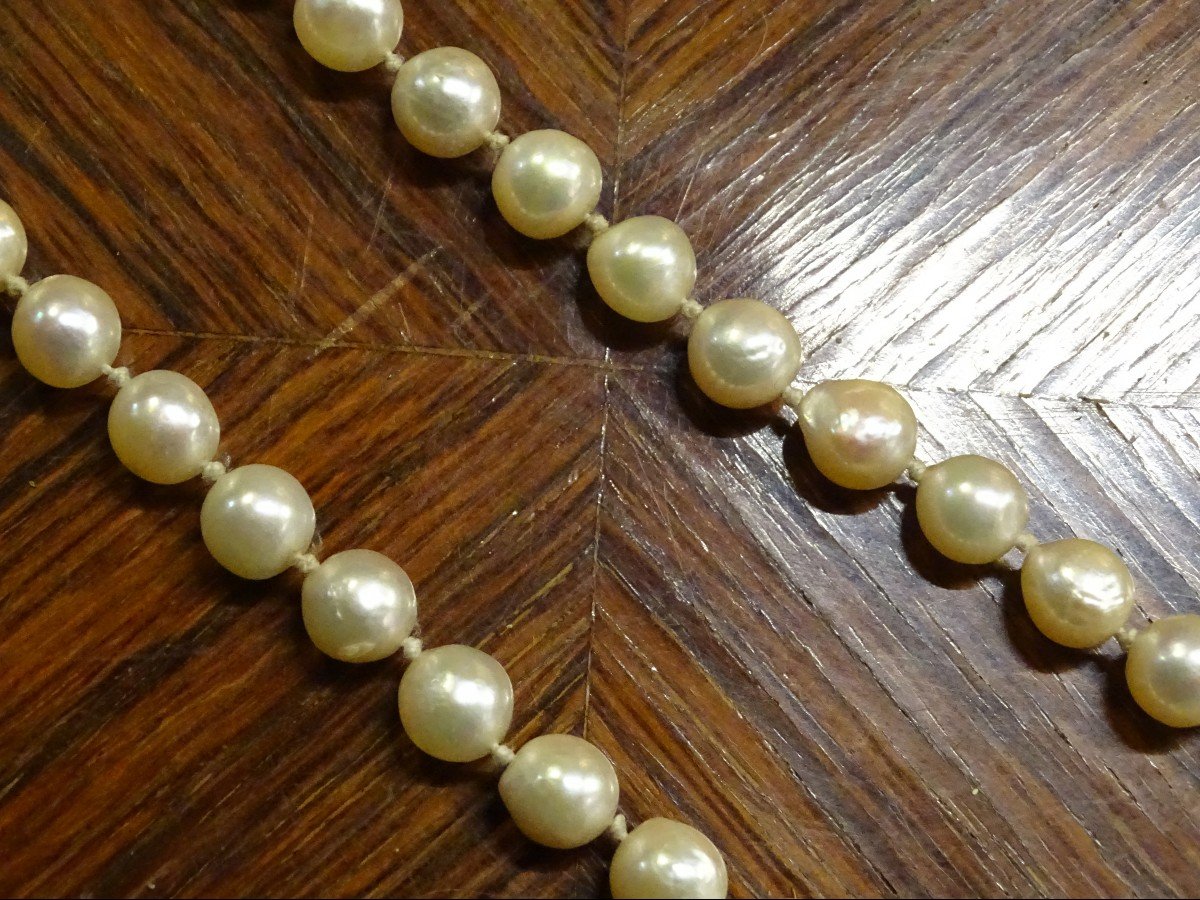 Cultured Pearl And Gold Necklace 1960-photo-2