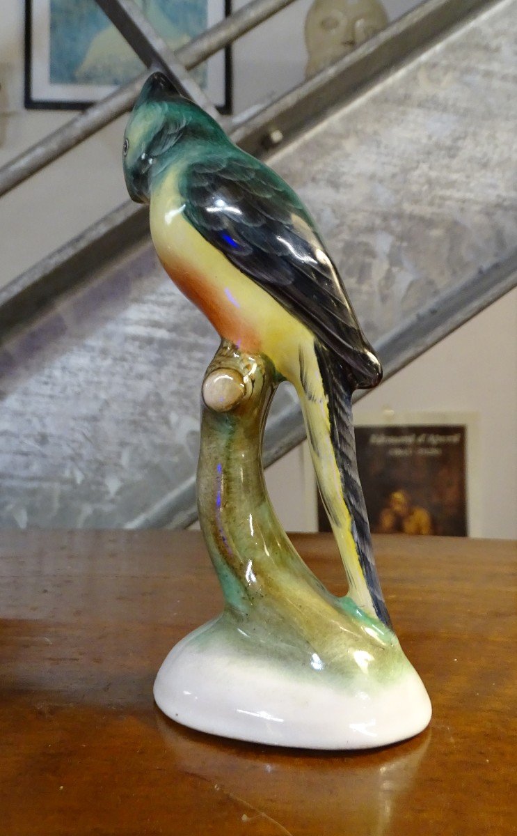 Earthenware Parrot 20th-photo-3