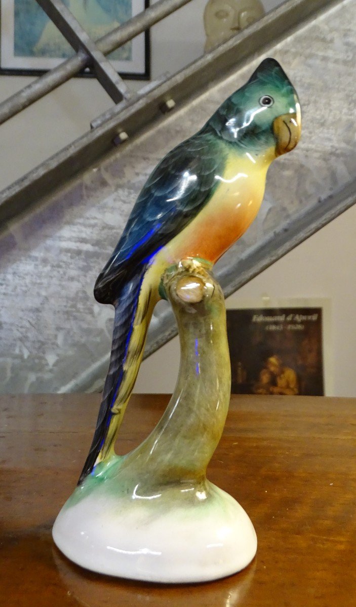 Earthenware Parrot 20th