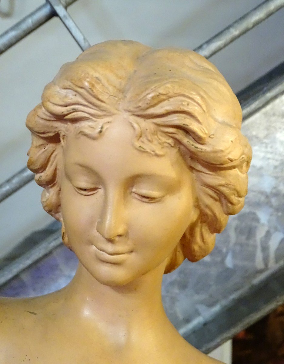 Bust Of A Young Woman In Terracotta 1900-photo-2