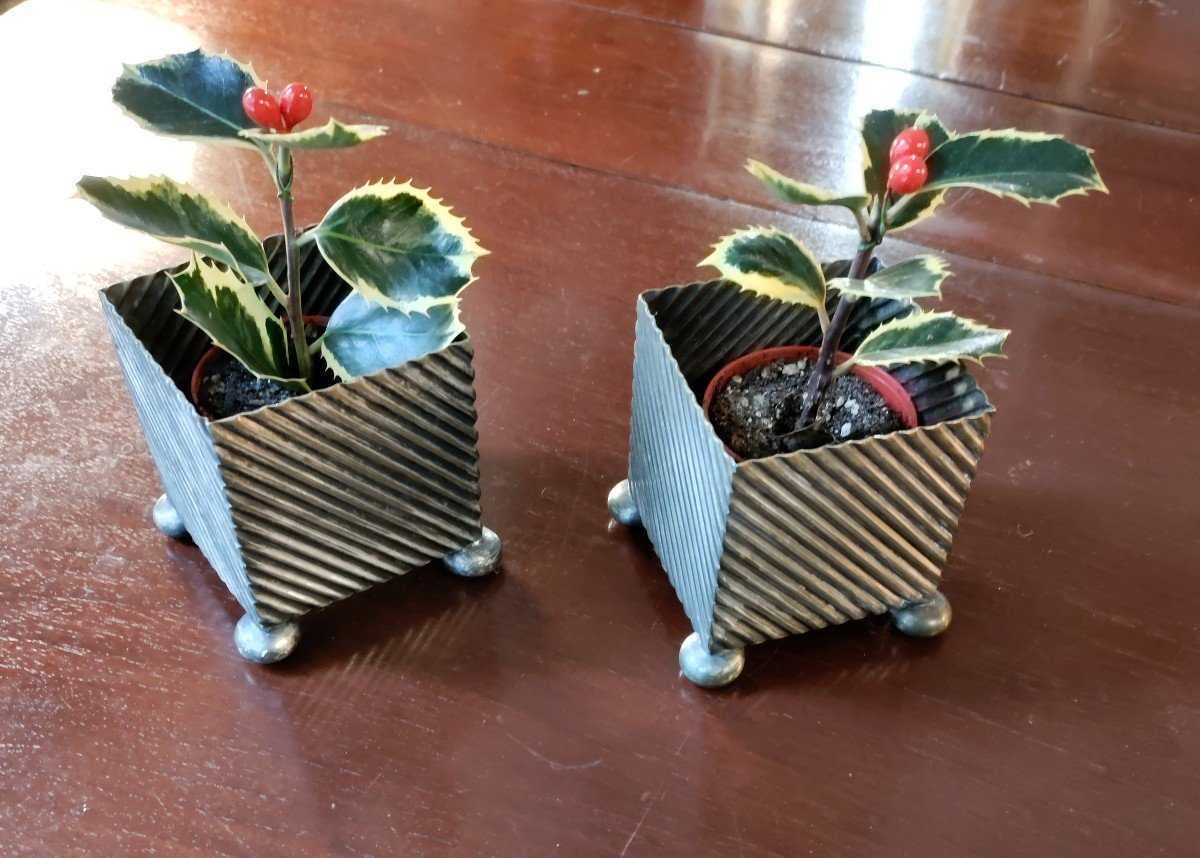 Paire De Cache-pots à Cactées En Métal Argenté Anglais  Epoque 1900-photo-3