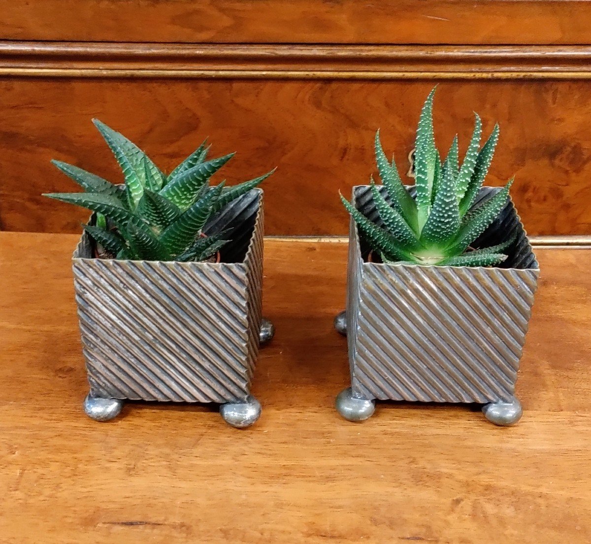 Pair Of English Silver Plated Cactus Planters Périod 1900-photo-3