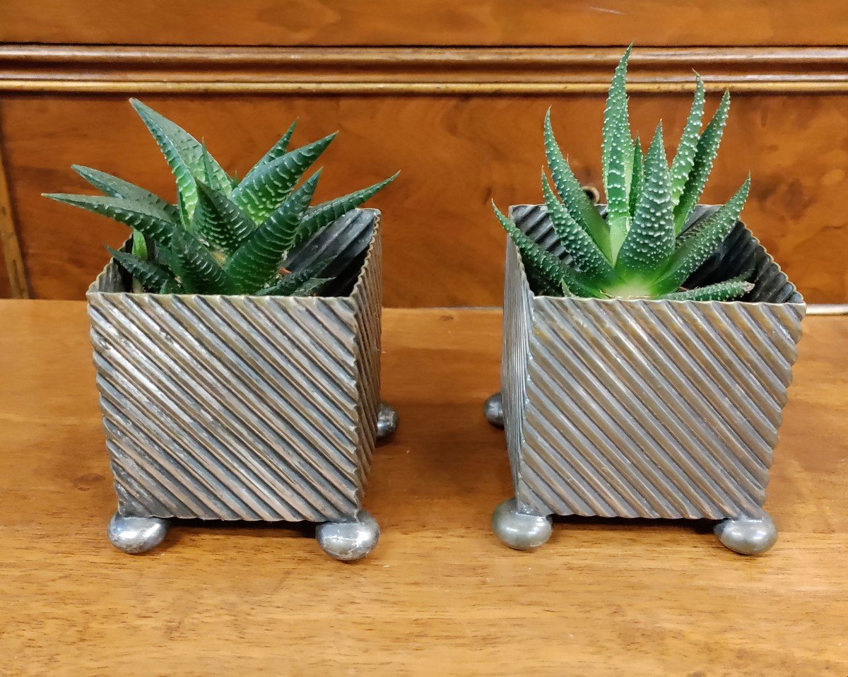 Pair Of English Silver Plated Cactus Planters Périod 1900