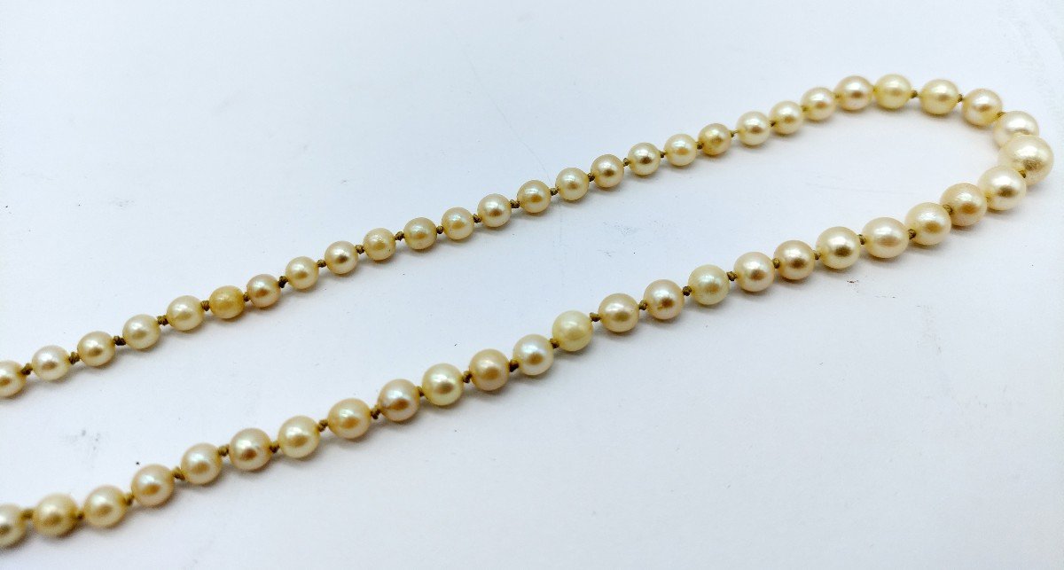 Cultured Pearl Necklace 1940s/50s-photo-3