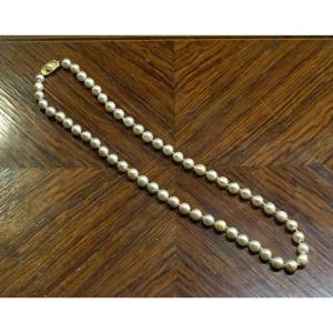 Cultured Pearl And Gold Necklace 1960