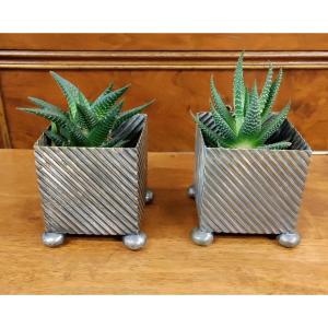 Pair Of English Silver Plated Cactus Planters Périod 1900