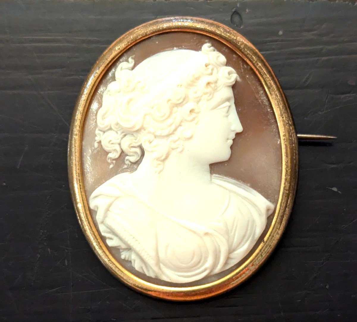 19th Century Cameo On Shell - Profile Of Young Woman In Antique Style