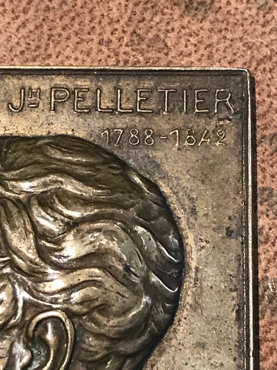 Découvreur de la quinine,  Pelletier (1788-1842)-Médaille en bronze de Cormier d'après Lormier-photo-3