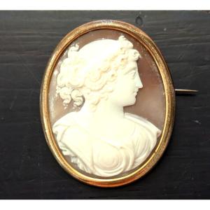 19th Century Cameo On Shell - Profile Of Young Woman In Antique Style