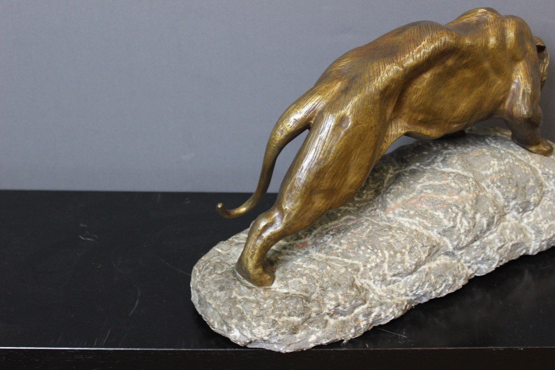 Sculpture En Bronze Représentant Une Lionne Par Andrey -photo-3