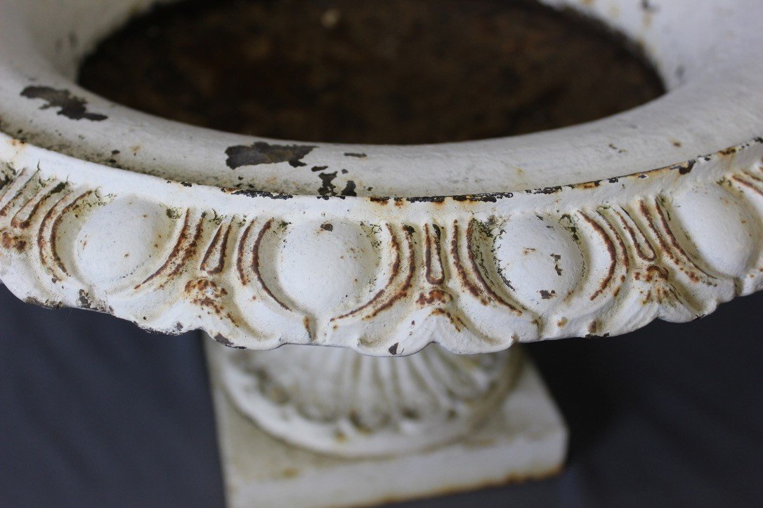 Medici Vase In Cast Iron XIX-photo-4