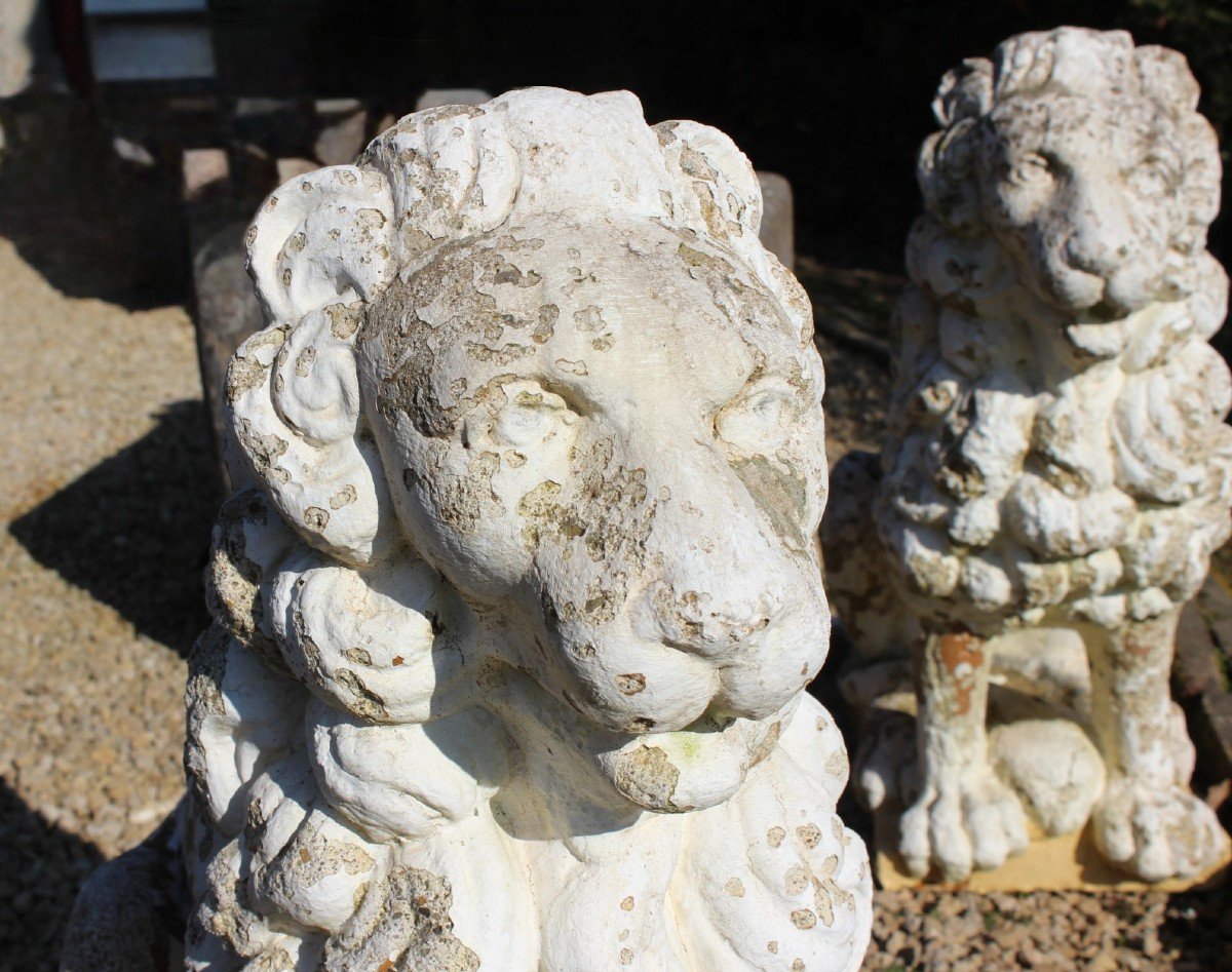 Pair Of Cement Lions XX-photo-1