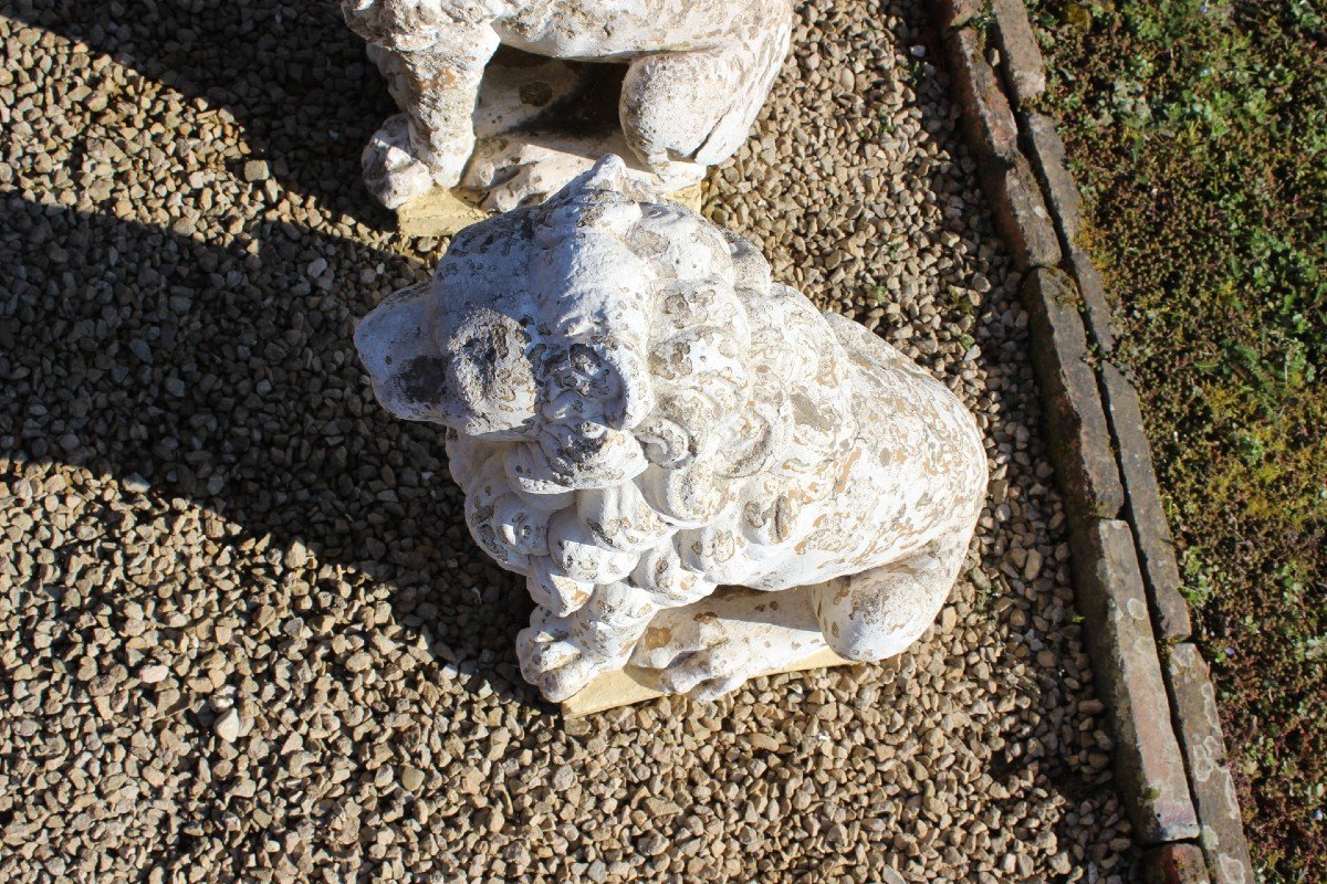 Pair Of Cement Lions XX-photo-6