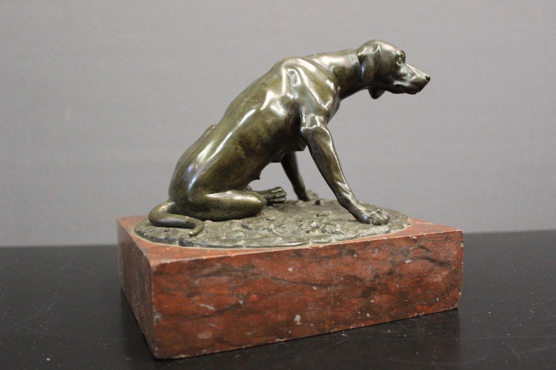 Hunting Dog In Bronze XIX-photo-2