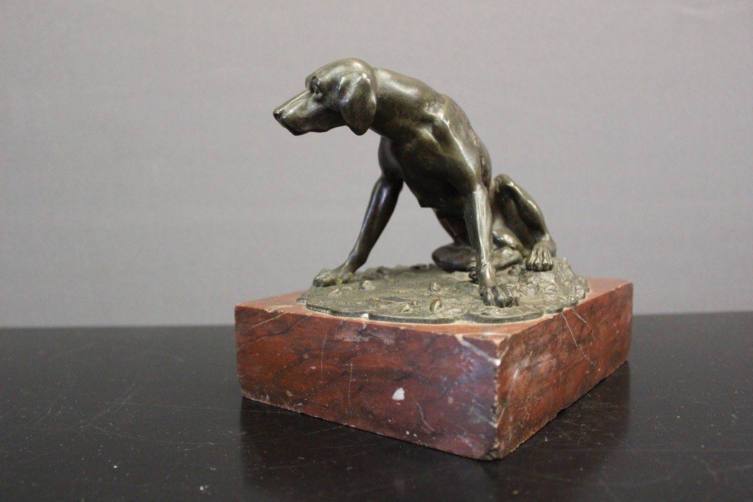 Chien De Chasse En Bronze XIX-photo-3