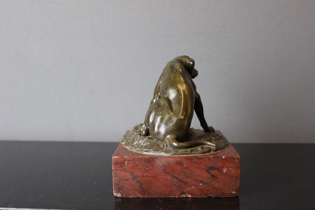 Chien De Chasse En Bronze XIX-photo-4