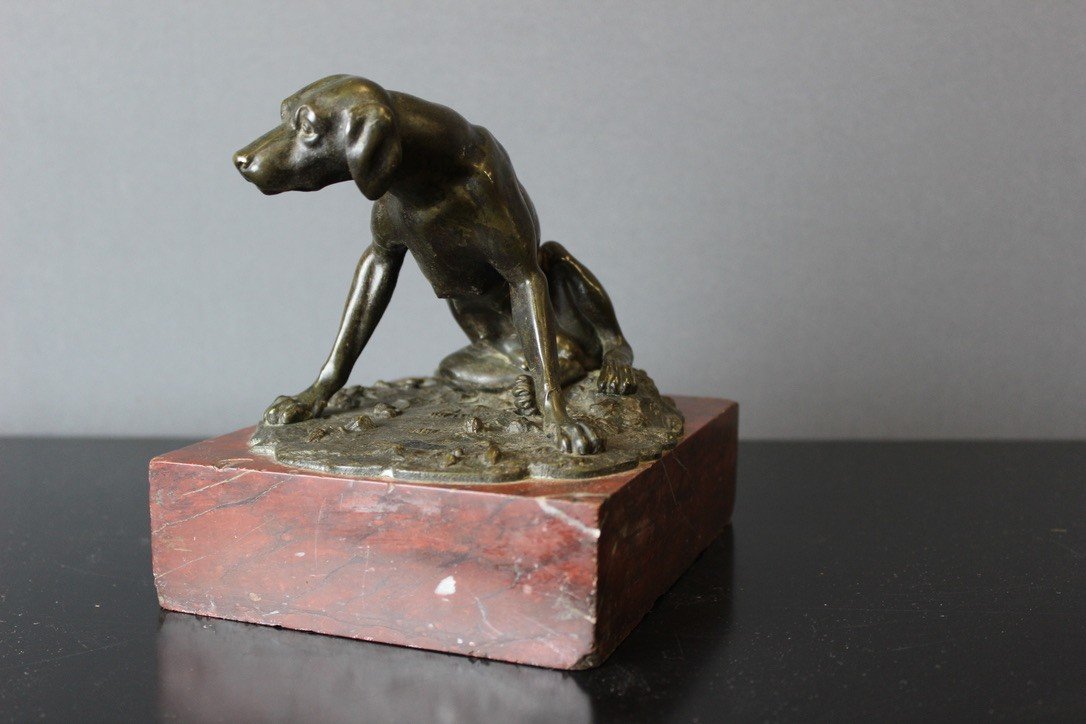 Chien De Chasse En Bronze XIX-photo-7