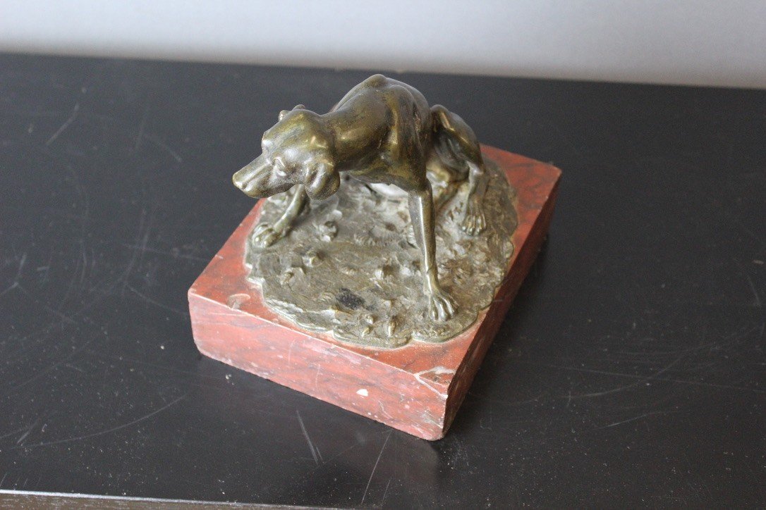 Chien De Chasse En Bronze XIX-photo-8