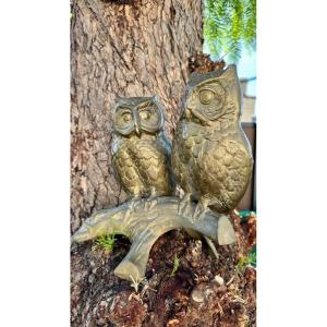 Couple Of Bronze Owls