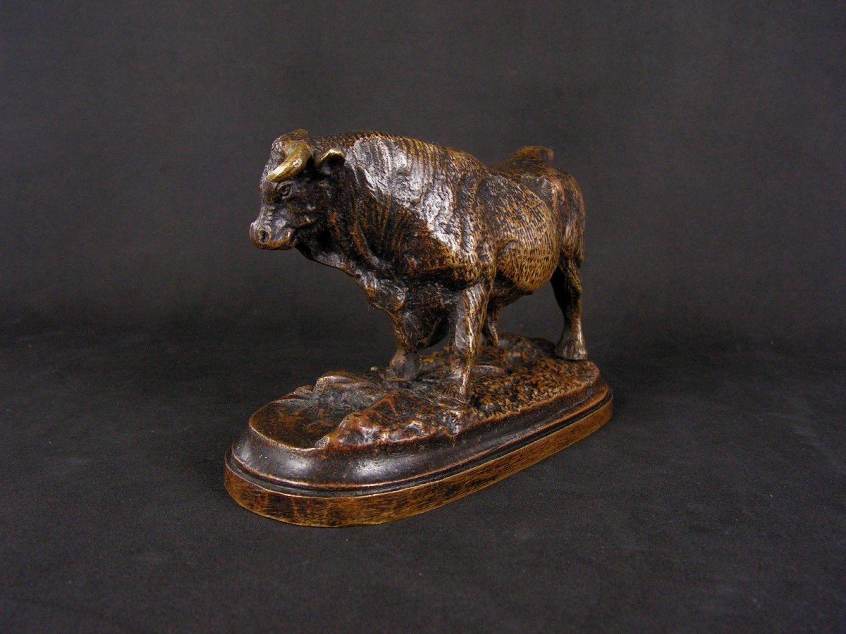 Pierre Jules Leads Bull In Bronze 19th Century-photo-3