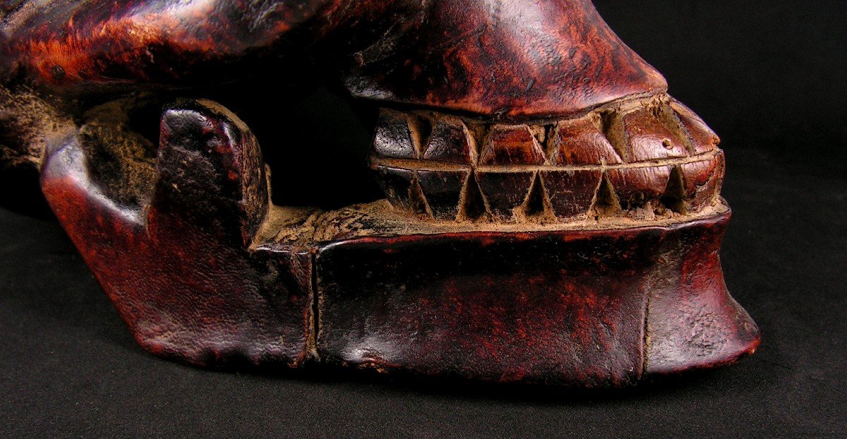 Antique Carved Wooden Skull Covered With Leather Origin Tibet-photo-3