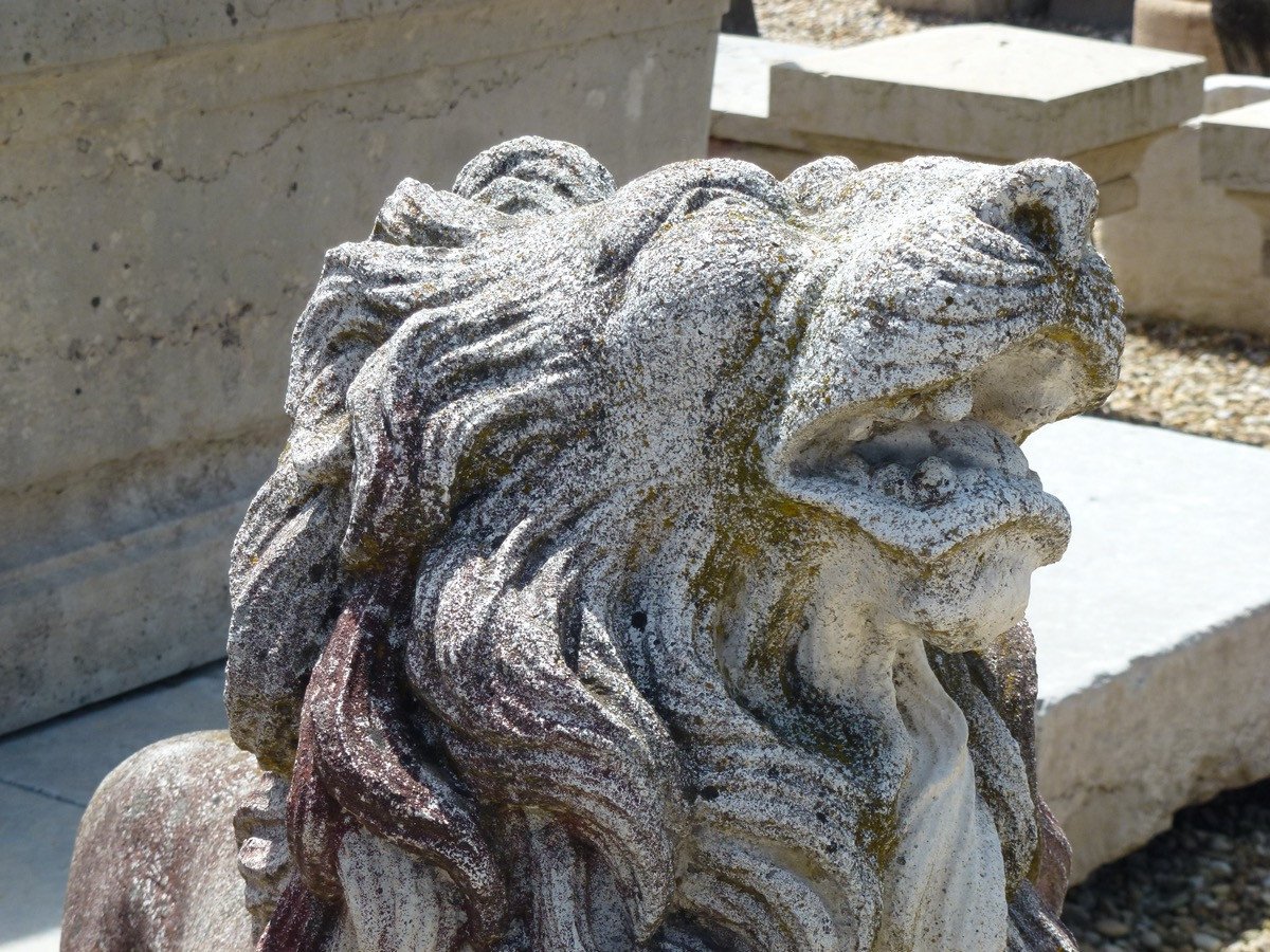 Important Pair Of Reconstituted Stone Lions-photo-4