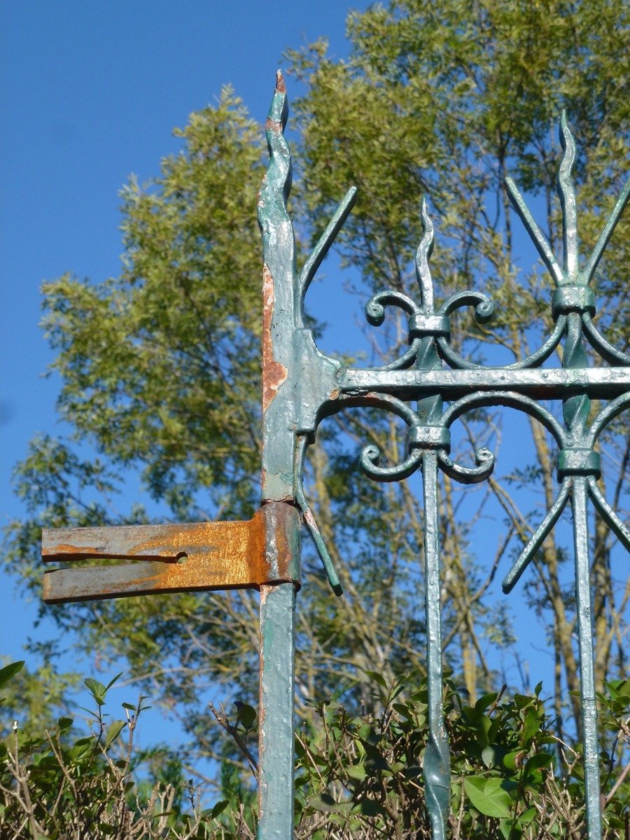 Wrought Iron Gate With Scalloped Sheet Metal-photo-1