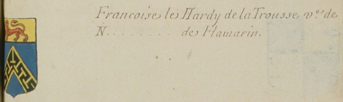 importante plaque de cheminée aux armes de La Palud / le Hardy du Fay de la Trousse (135x117 cm-photo-2