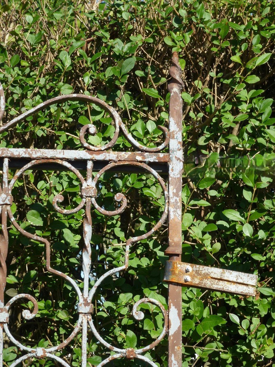 Wrought Iron Gate From The Beginning Of The 20th Century-photo-1