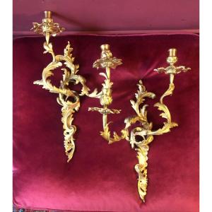 Pair Of Rocaille Wall Lights, Late 18th Or Early 19th Century