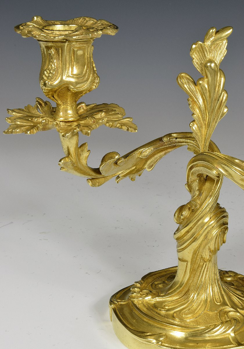 Candlestick Gilt Bronze Louis XV XIXème-photo-3