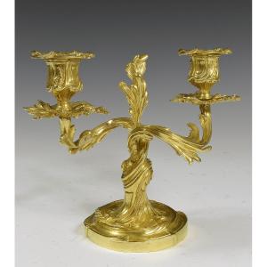 Candlestick Gilt Bronze Louis XV XIXème