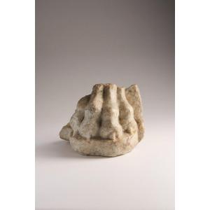 A Roman Marble Feline Paw - Roman Period