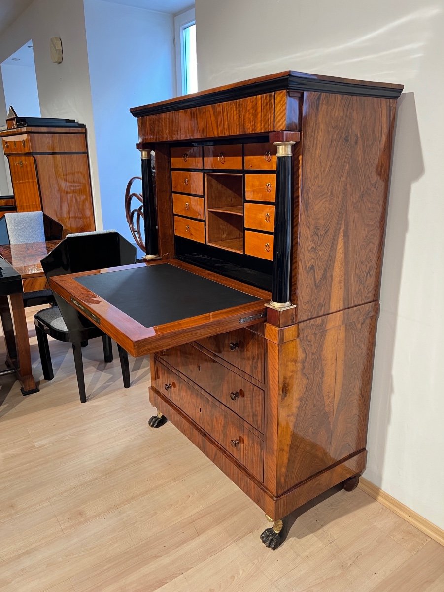 Biedermeier Secretary, Walnut, Maple, Paw Feet, Austria Circa 1820-photo-3