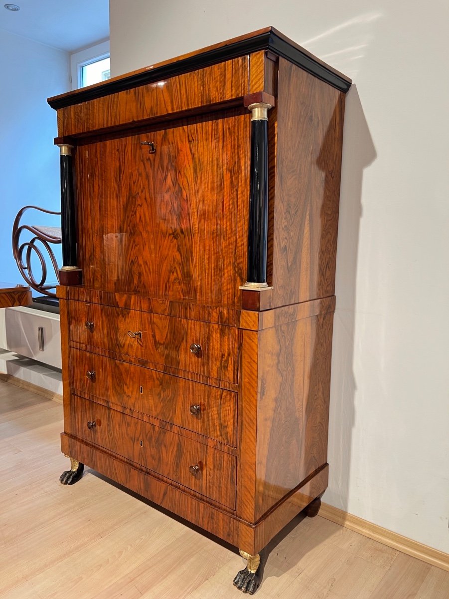 Biedermeier Secretary, Walnut, Maple, Paw Feet, Austria Circa 1820-photo-1